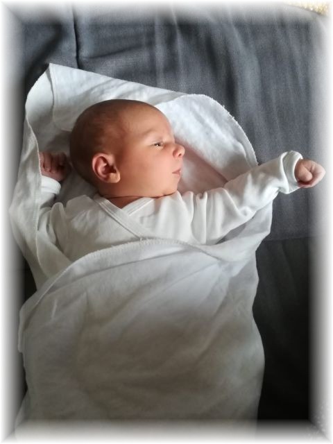 40_2022.jpg - 66102 Bytes