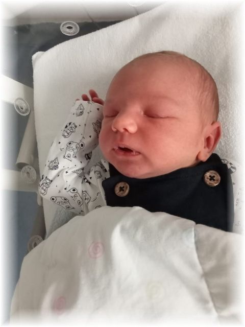 42_2022.jpg - 66102 Bytes