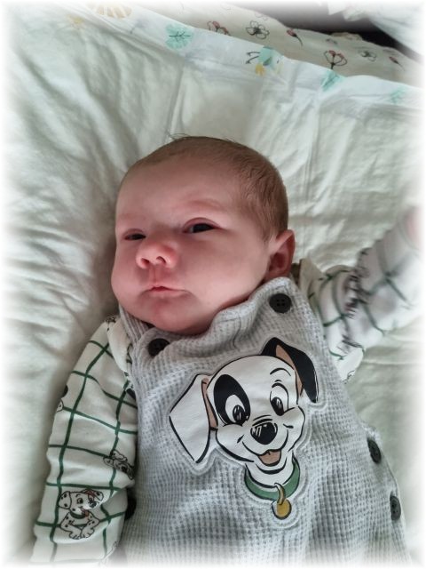 45_2022.jpg - 66102 Bytes