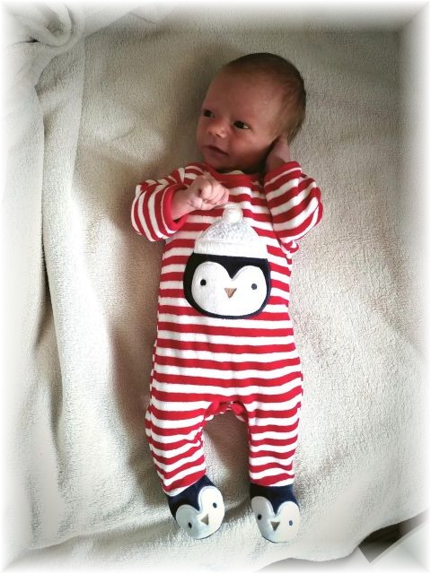 46_2022.jpg - 66102 Bytes