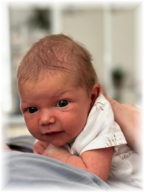 015_2024.jpg - 75377 Bytes