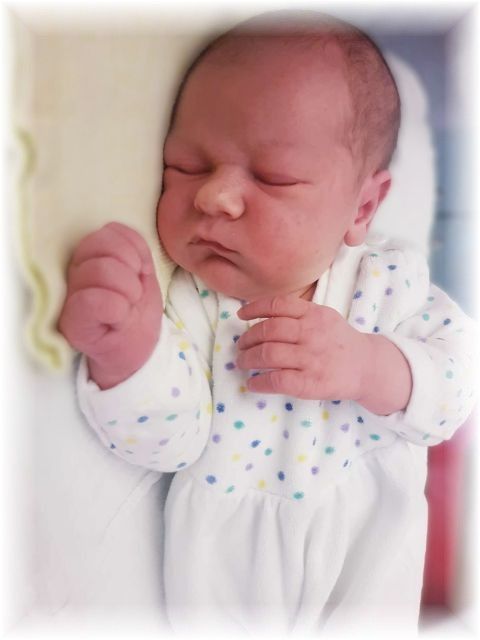 021_2024.jpg - 75377 Bytes