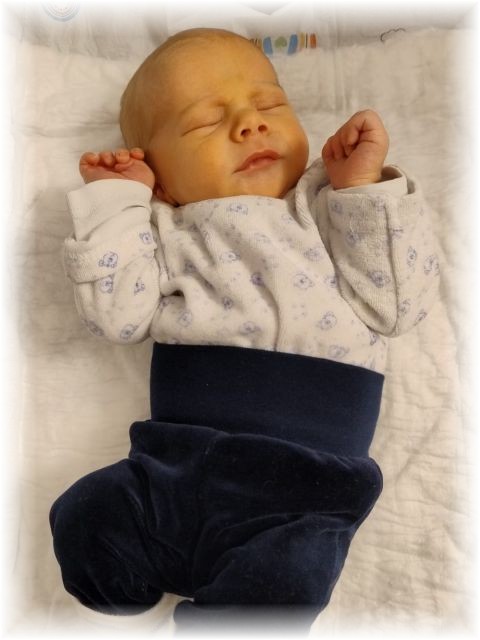 002_2025.jpg - 75377 Bytes