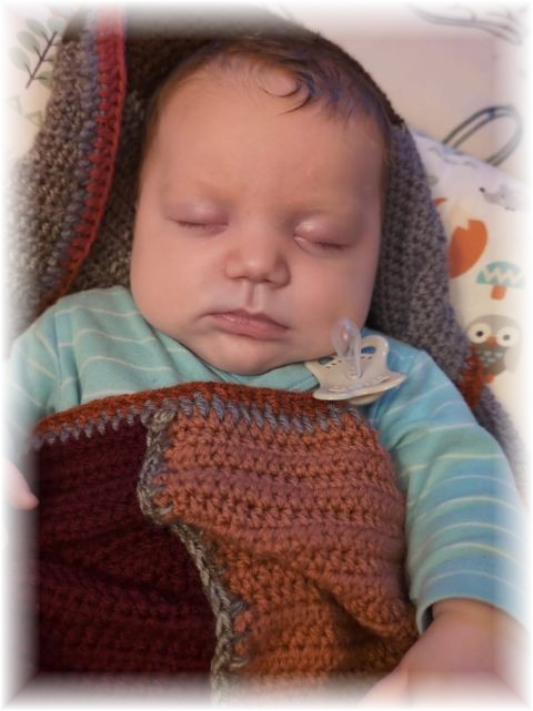 003_2025.jpg - 75377 Bytes