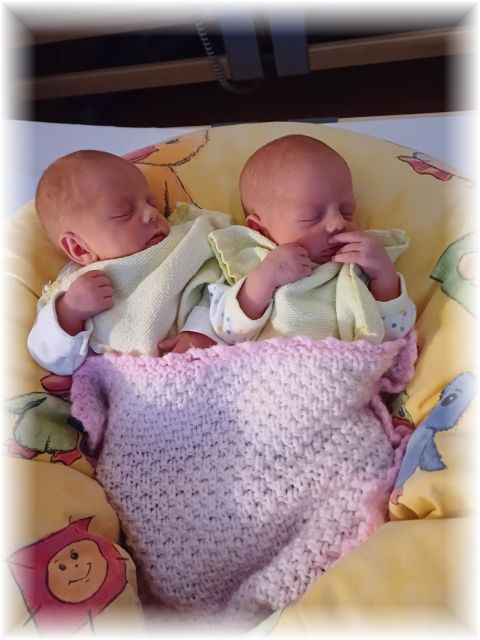 004_2025.jpg - 75377 Bytes