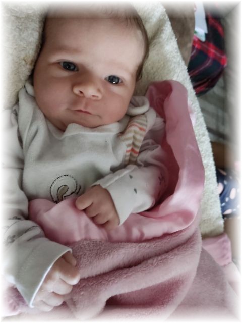 006_2025.jpg - 75377 Bytes