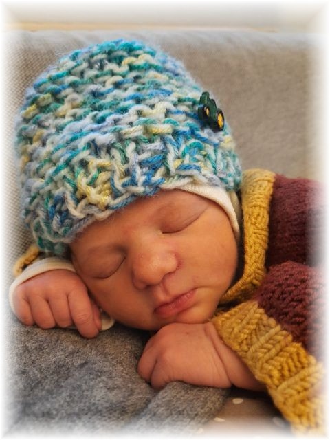 007_2025.jpg - 75377 Bytes