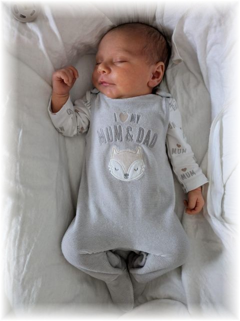 011_2025.jpg - 75377 Bytes