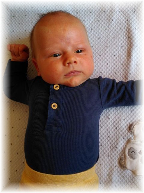 012_2025.jpg - 75377 Bytes