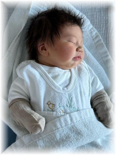 016_2025.jpg - 75377 Bytes