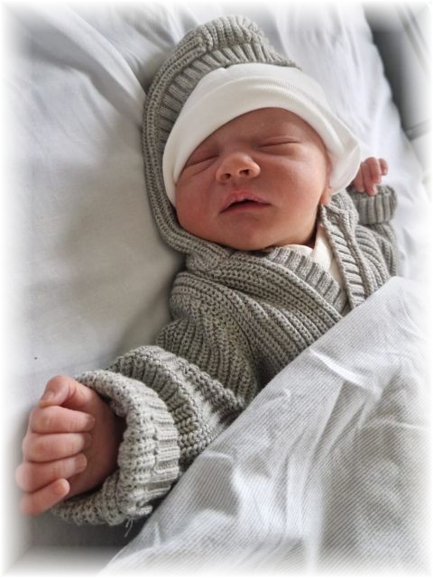 017_2025.jpg - 75377 Bytes