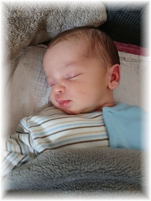 019_2025.jpg - 75377 Bytes