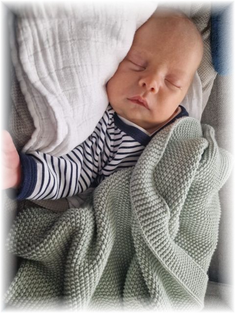 020_2025.jpg - 75377 Bytes