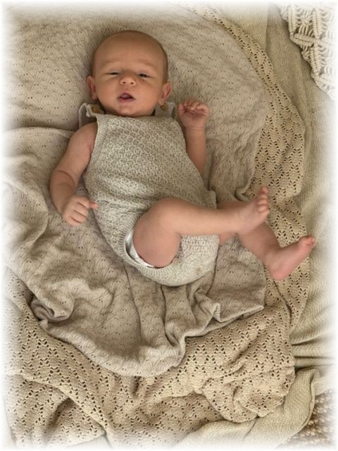 023_2025.jpg - 75377 Bytes