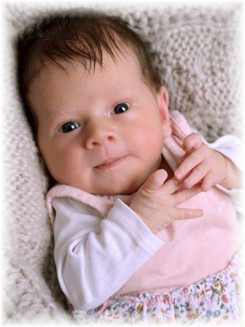 026_2025.jpg - 75377 Bytes