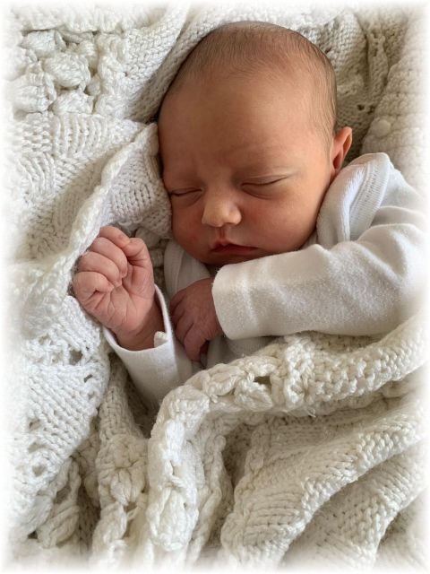 031_2025.jpg - 75377 Bytes