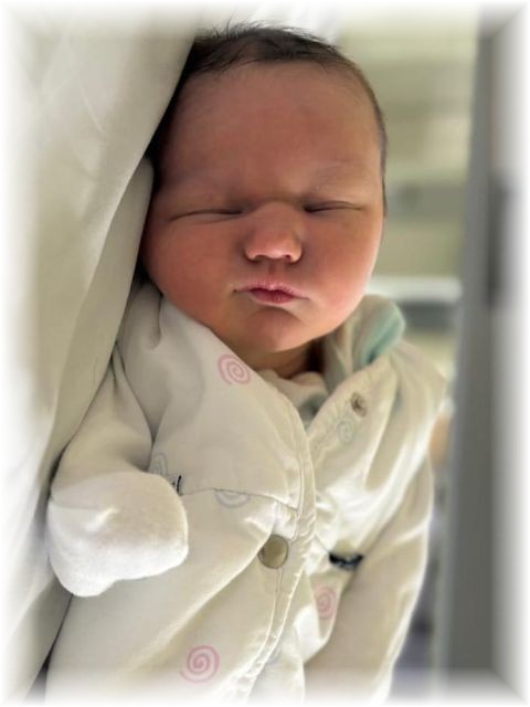 037_2025.jpg - 75377 Bytes