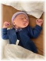 mini_010_2026.jpg - 2909 Bytes