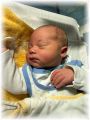 mini_011_2026.jpg - 2909 Bytes
