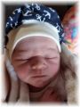 mini_013_2026.jpg - 2909 Bytes