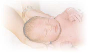 hg_geburt_1.jpg - 3556 Bytes