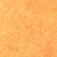 orang045.jpg - 12929 Bytes